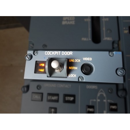 Panel Cockpit door
