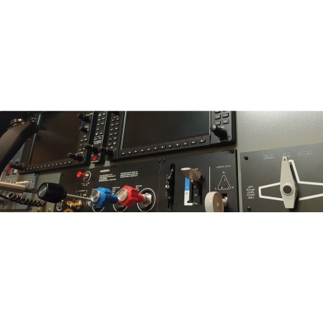 Planche de bord C172 G 1000 Desktop