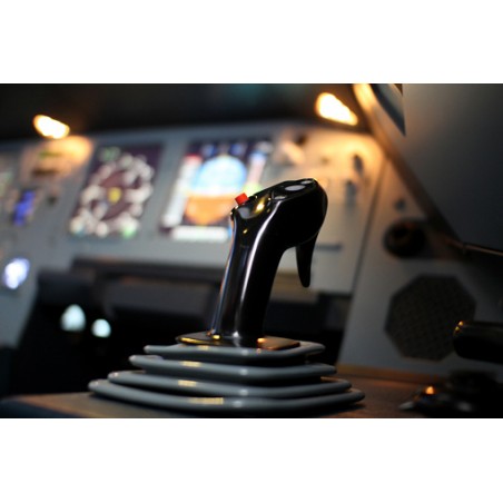 Captain and F/O Side Stick