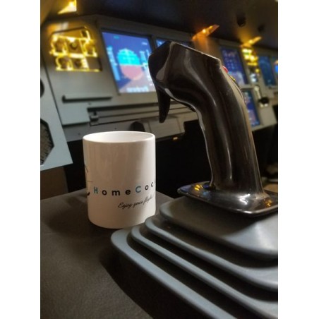 Captain and F/O Side Stick