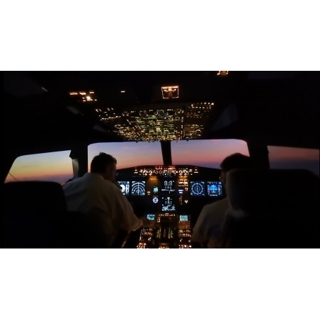 A320 Cockpit trainer full fixed base