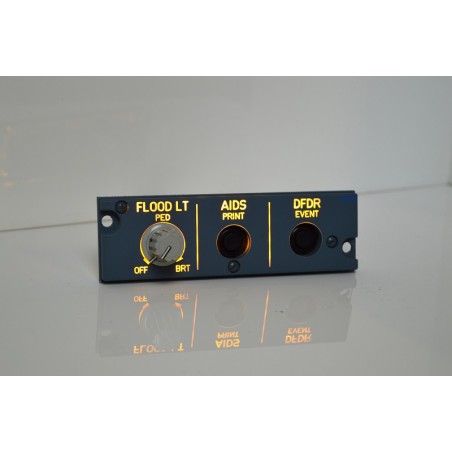 Panel Flood Copilote