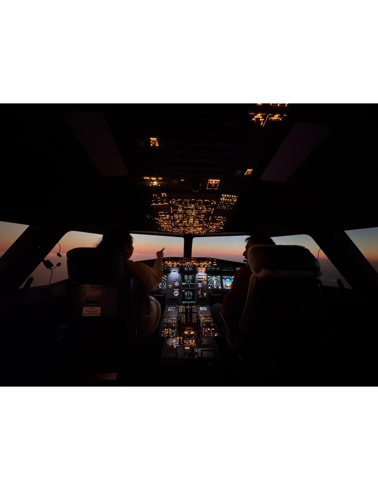 Simulateur A320-Pack 10h-Prenez les commandes ou bien offrez des heures a vos proches !