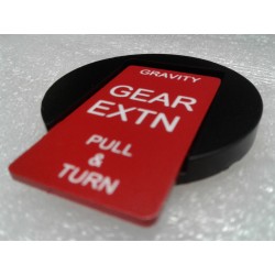 Plaque immitation Manual Gear A320 2