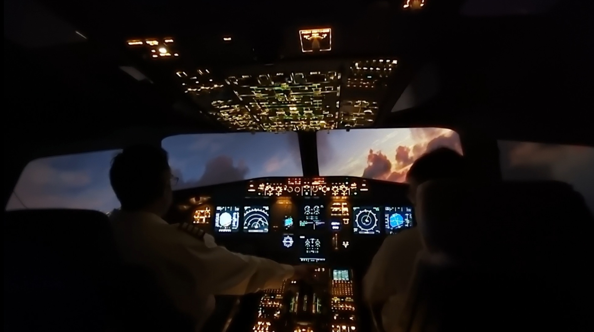 > Spécialiste de la simulation de vol en avion